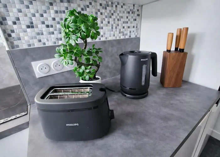 Emeraude Du Centre Confort Et Elegance Апартаменты *